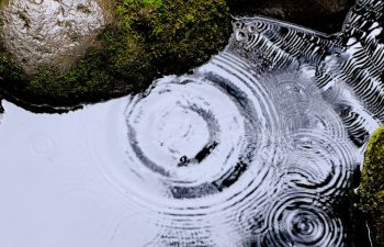 garden waterfall and water drops