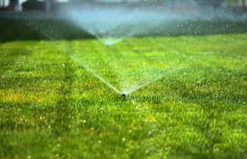 Lawn Care Cumming GA