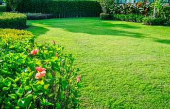 perfect garden, 