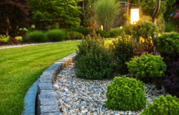 flower bed with decorative green garden plants and evenly mowed