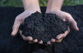 close up of man hands holding soil, 