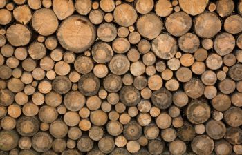 A large stack of cut tree logs arranged with their circular ends facing outward, showing various sizes and natural wood textures. The logs are tightly packed, covering the entire image., 