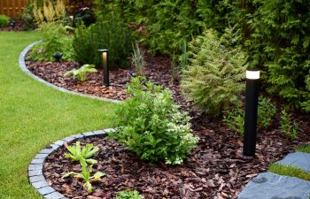A Beautifully Landscaped Garden Featuring Striking LED Lights and Fresh Mulch Enhancements, 